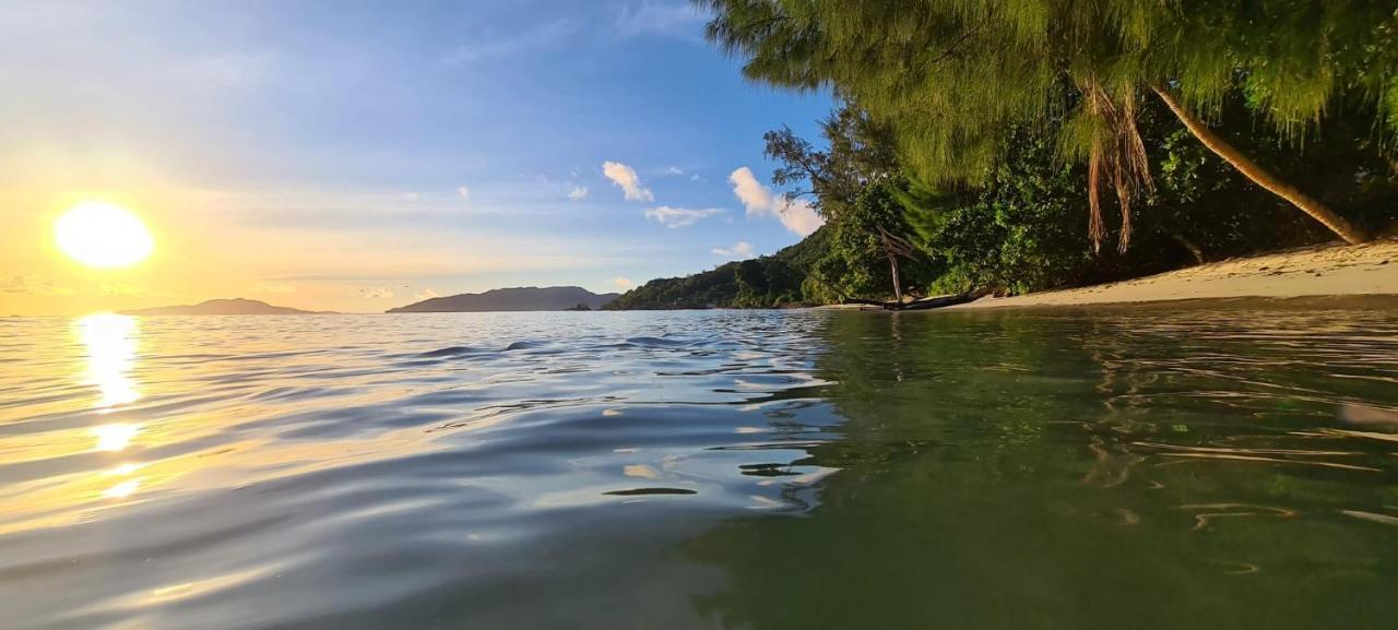 Tranquility Villas Baie Sainte Anne エクステリア 写真