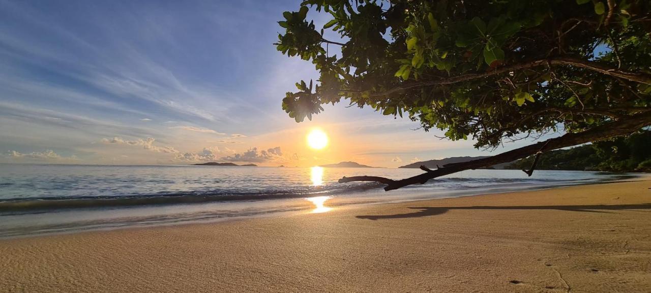 Tranquility Villas Baie Sainte Anne エクステリア 写真